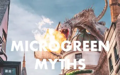 Top 10 Microgreen Myths!