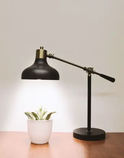 Lamp over Plant on Desk 