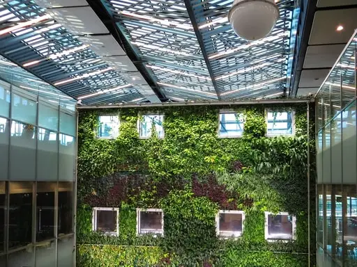 Living Green Plant Wall