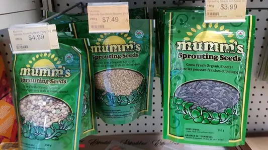 sunflower seeds from mumms in a local store