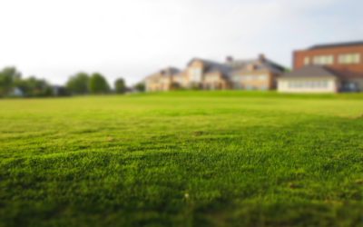 Caring for your new sod lawn