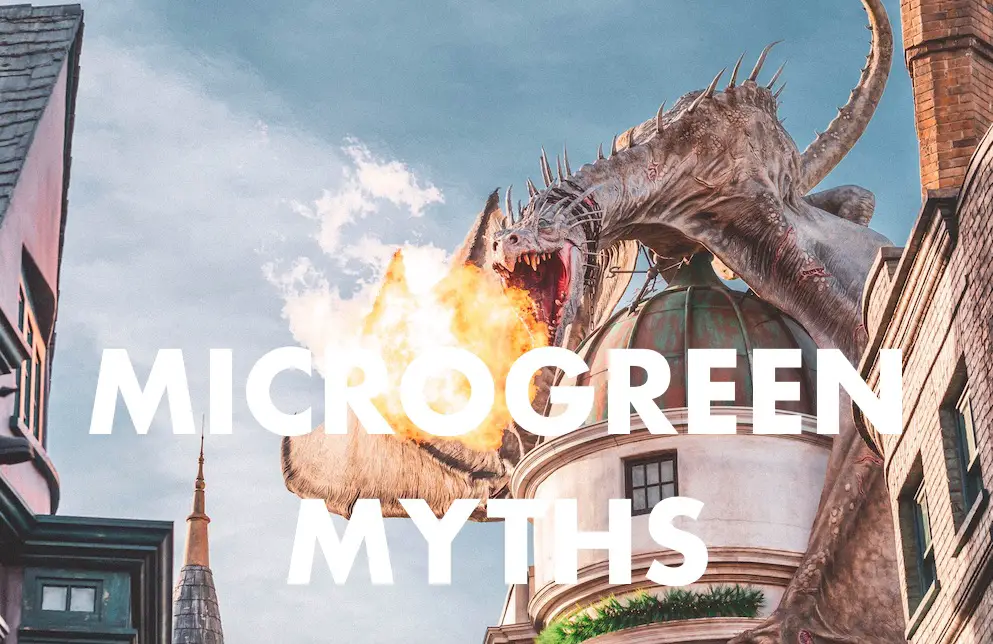 Microgreen myths