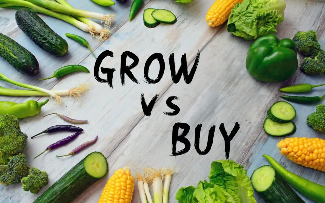 microgreens grow vs buy