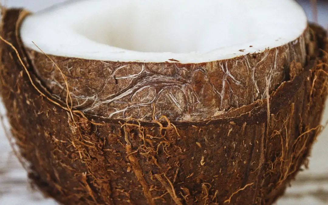 coconut fiber makes great microgreen growing medium